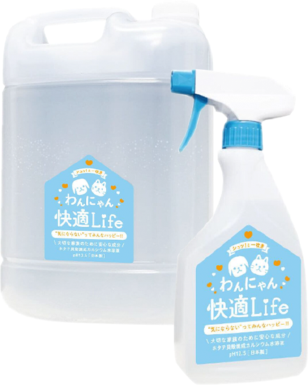 実際の商品の購入はこちらから!