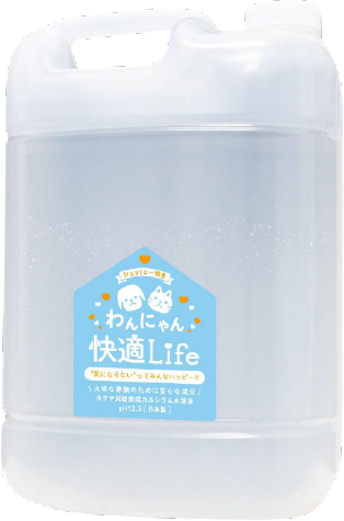 実際の商品の購入はこちらから!